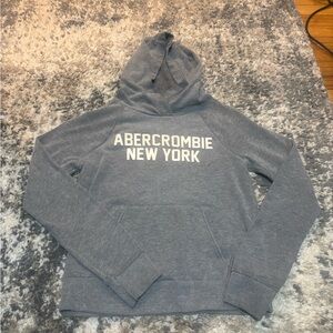 Abercrombie & Fitch Heather Gray Pullover Hoodie